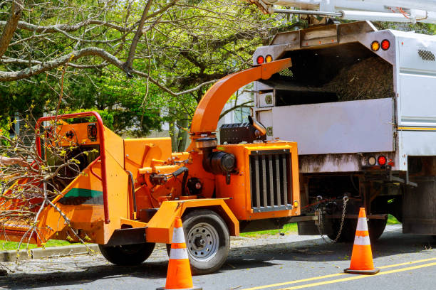 Best Tree Health Inspection  in Trotwood, OH